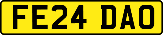 FE24DAO