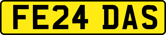 FE24DAS
