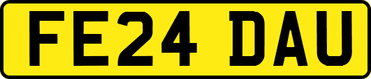 FE24DAU
