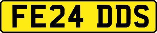 FE24DDS