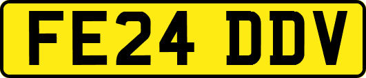 FE24DDV