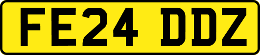 FE24DDZ