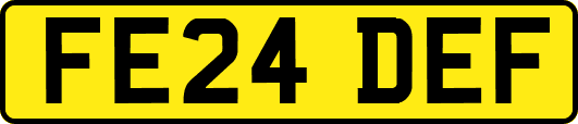 FE24DEF