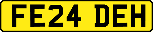 FE24DEH