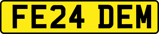 FE24DEM