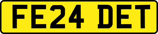 FE24DET