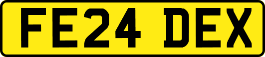 FE24DEX