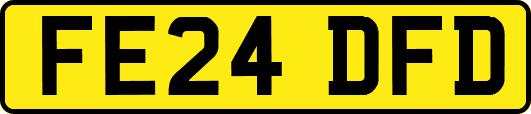 FE24DFD
