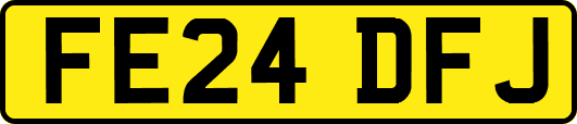 FE24DFJ