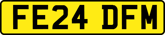 FE24DFM