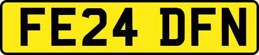 FE24DFN