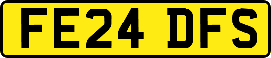 FE24DFS