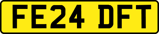 FE24DFT
