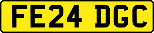 FE24DGC