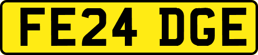 FE24DGE