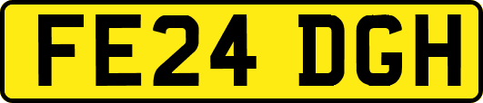 FE24DGH