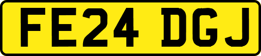 FE24DGJ