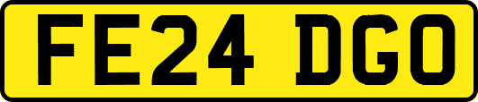 FE24DGO