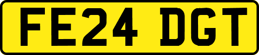 FE24DGT