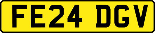 FE24DGV