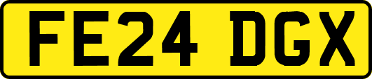 FE24DGX