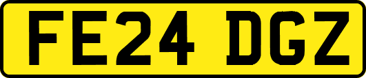 FE24DGZ