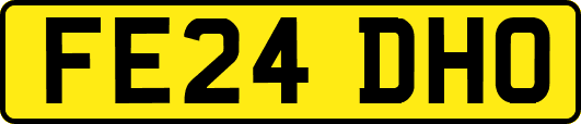 FE24DHO