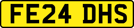 FE24DHS