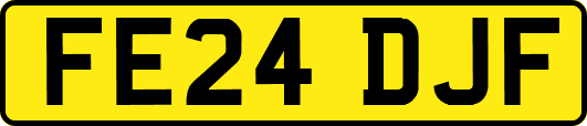 FE24DJF