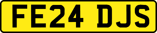 FE24DJS