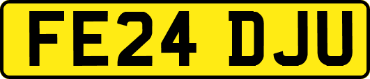 FE24DJU