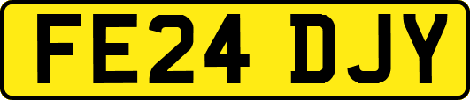 FE24DJY