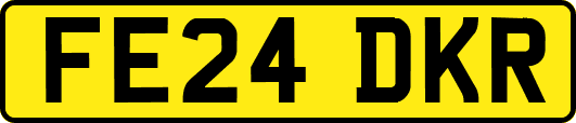 FE24DKR