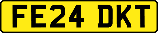 FE24DKT