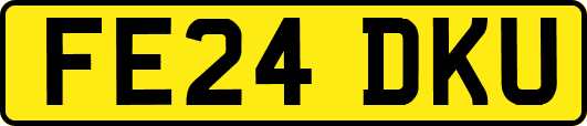 FE24DKU