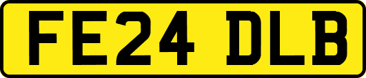 FE24DLB