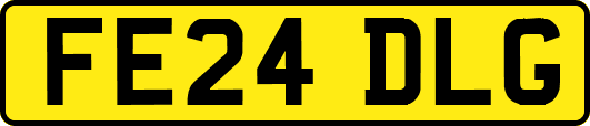 FE24DLG