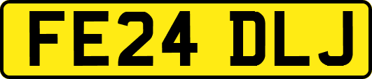 FE24DLJ