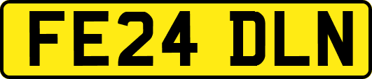 FE24DLN