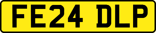 FE24DLP