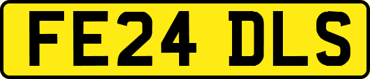 FE24DLS