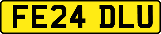 FE24DLU