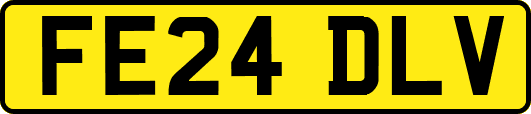 FE24DLV