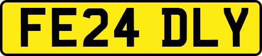 FE24DLY