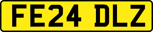 FE24DLZ