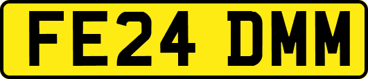 FE24DMM