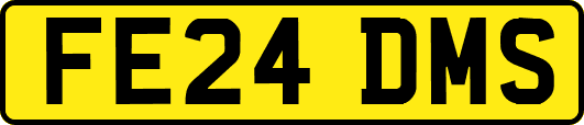 FE24DMS