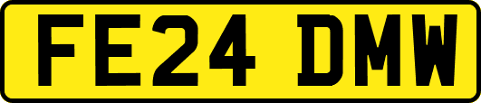 FE24DMW