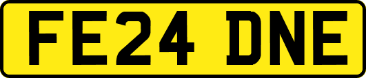 FE24DNE