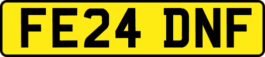 FE24DNF